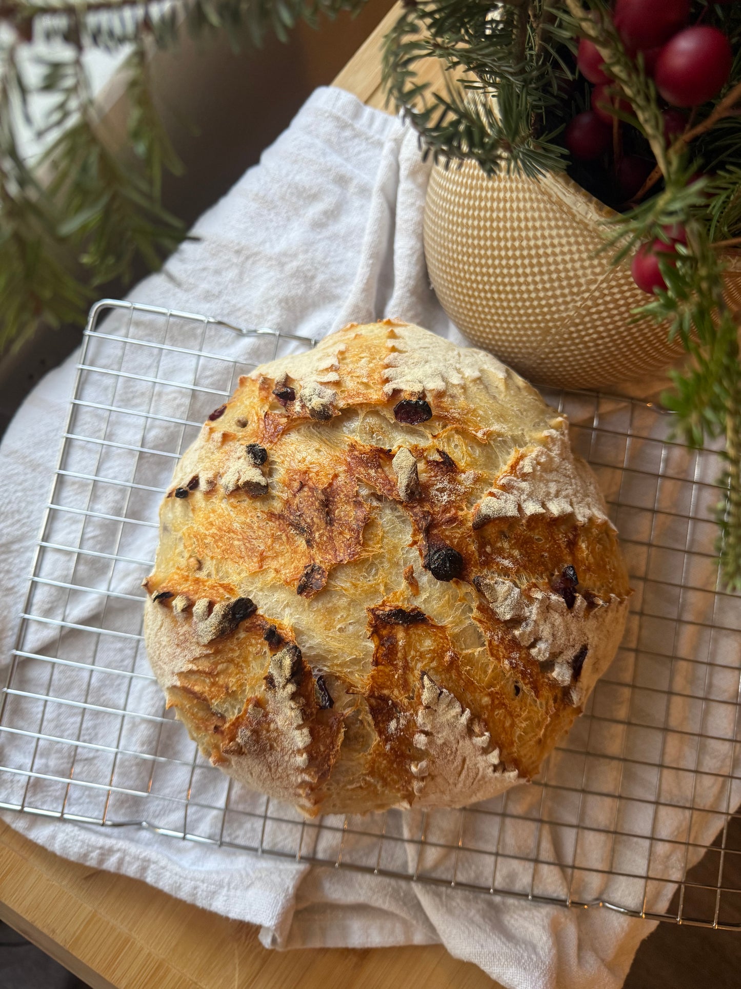Cranberry Walnut Sourdough