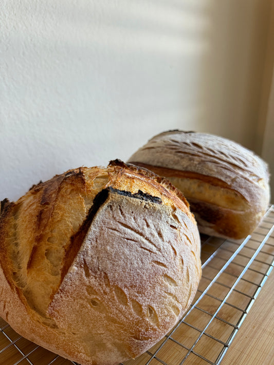 Plain Sourdough (Pick Up Only)