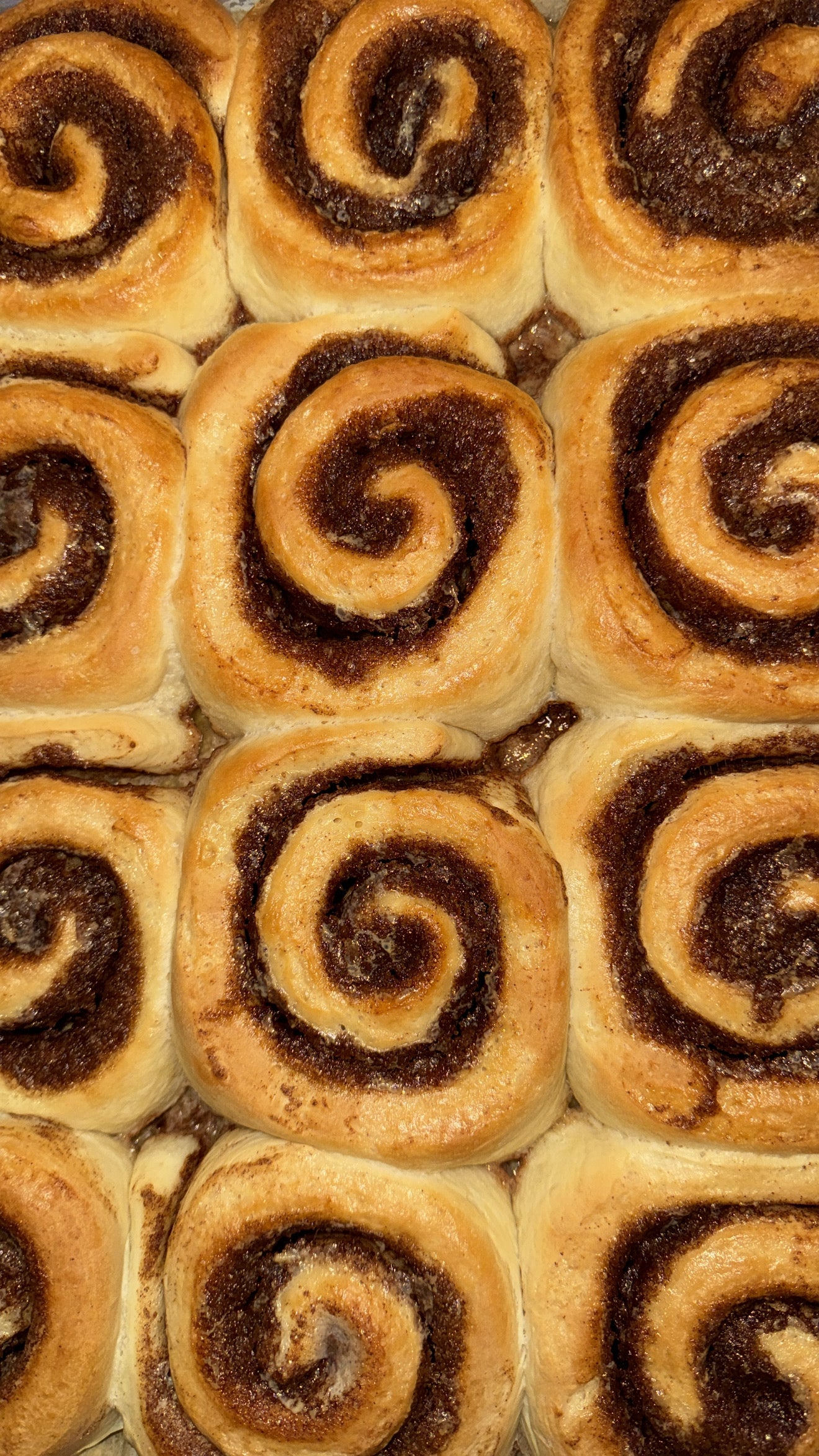 Classic Cinnamon Rolls (Pick Up Only)