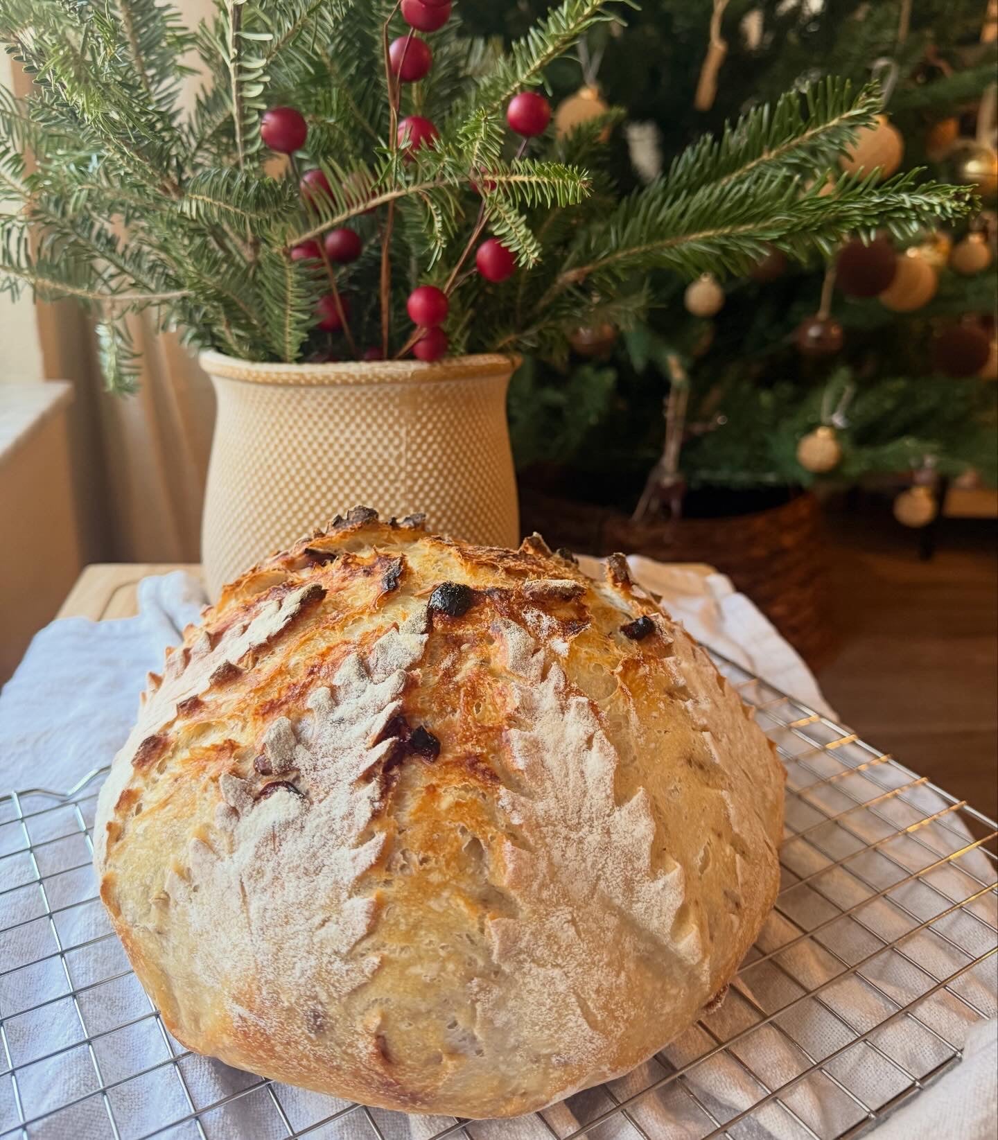 Cranberry Walnut Sourdough