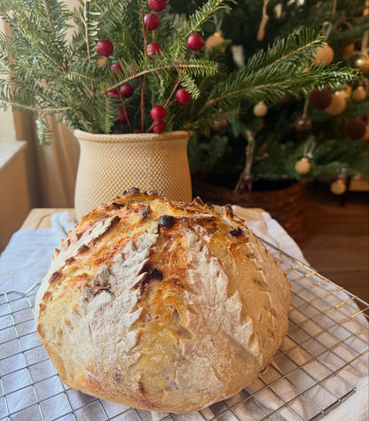 Cranberry Walnut Sourdough
